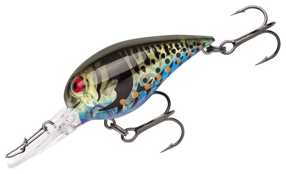 Storm | Wiggle Wart