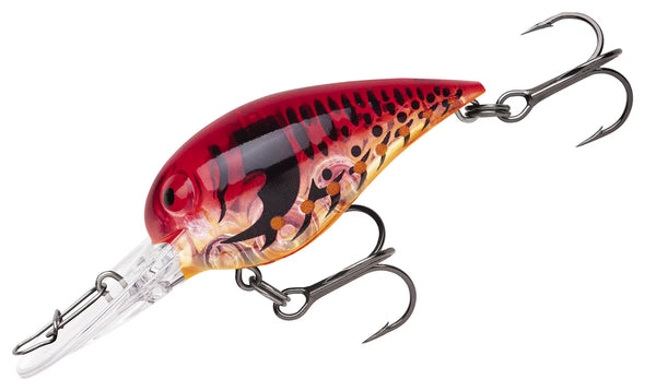 Storm | Wiggle Wart
