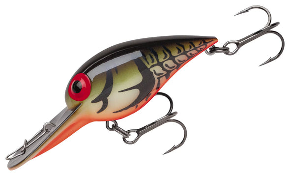 Storm | Wiggle Wart