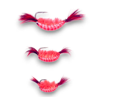 Kenders| Akua Tungsten Natural Shrimp Jig